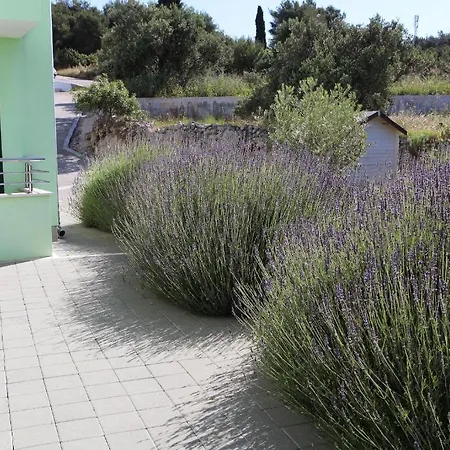 Apartment Delta Trogir
