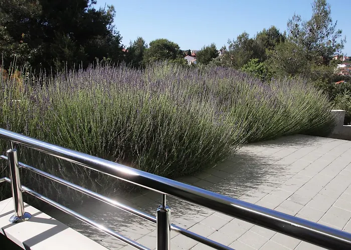 Delta * טרוגיר