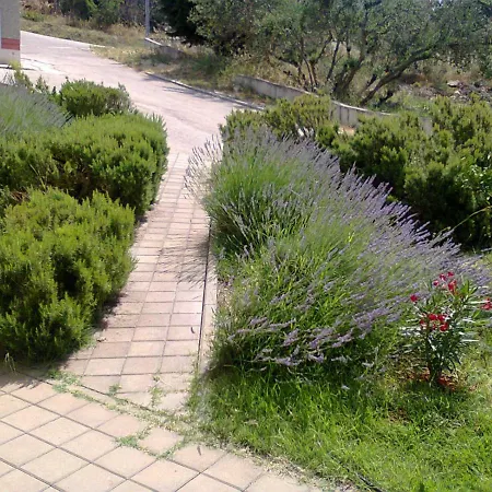 Apartamento Delta Trogir